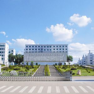 �������ĵĬF���������g