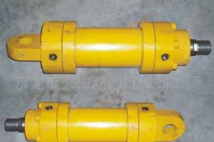 ���̙CеҺ�����g�l(f��)չ�C��