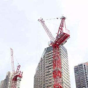 Ӣ���mMantis Cranes�Ƶ���ò�̹���ؙC���I(y��)