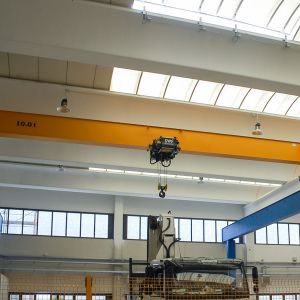 �������T��  giant gantry crane
