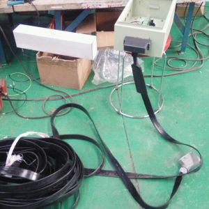 2018010031 ORDD5T�Wʽ���ؙC(j��)