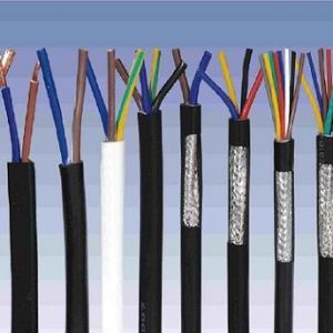 ������|����|���N��е�һ�N��ʲô�ǿ�����|��